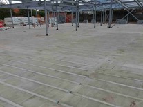 Vascroft - BAPs Temple